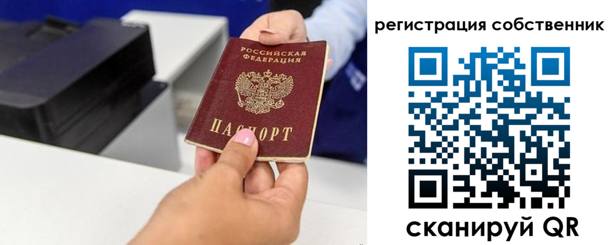 прописка для школы в Нелидово